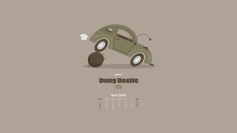 Dung Beetle