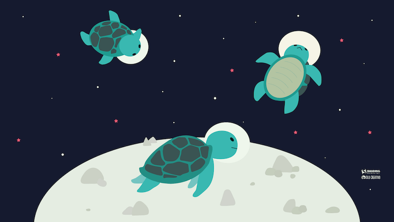 Turtles In Space